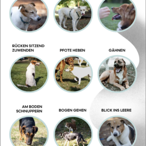 GRATIS Calming Signals Überblickssheet