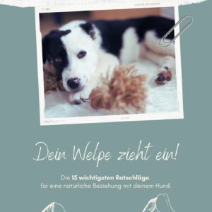 GRATIS - Dein Welpe zieht ein!