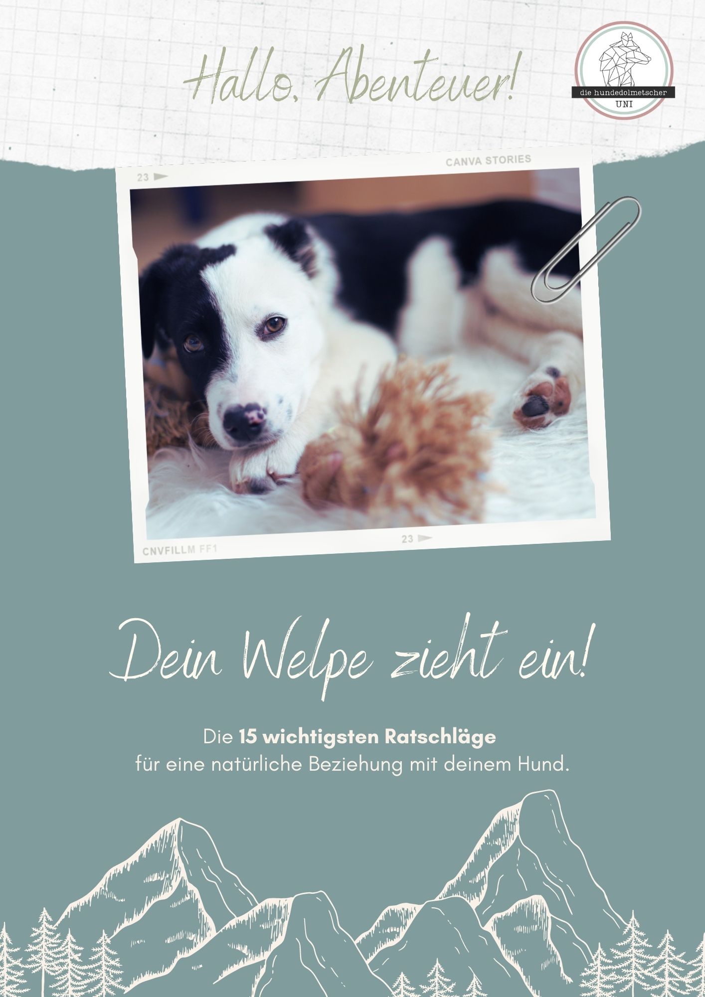 DZLzjyaYiAu1pvN6QvXbGQ5W