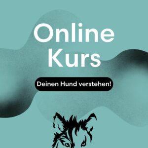 Deinen Hund verstehen!